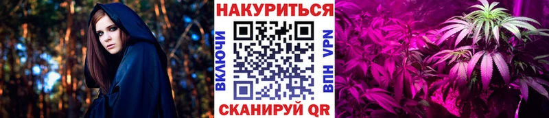 Купить закладки  Александровск-Сахалинский  Каннабис сатива